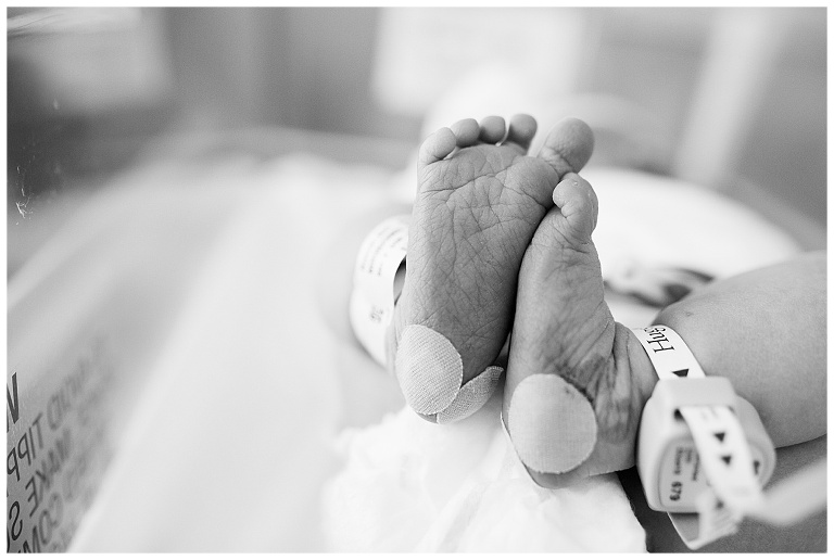 black and white newborn hospital session